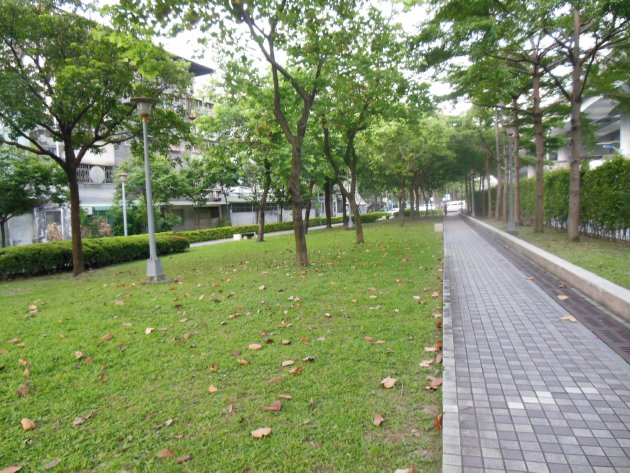 華山公園内の風景